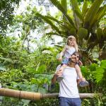 daughter on father shoulder Eden Project Rainforest